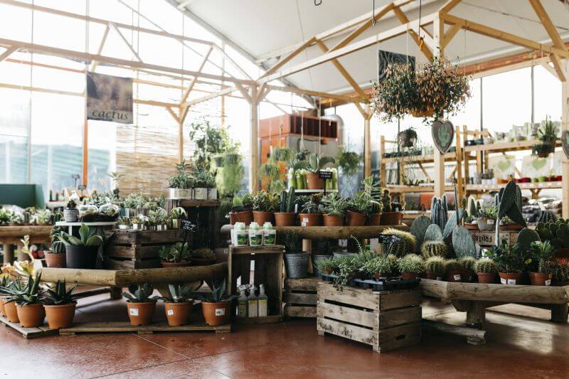 Bild von Grohrock Marie-Luise Gärtnermeisterin Garten- und Landschaftsbau